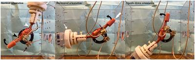 The effect of joint orientation on passive movement of the dog’s stifle